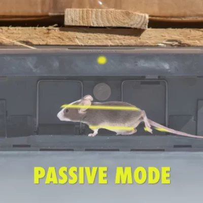 passive_mode-qf08ordypv5y7xiw8gb30b2v0q0waxwcr43nechzg0_1280x1280