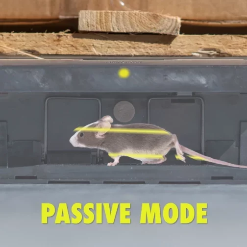 passive_mode-qf08ordypv5y7xiw8gb30b2v0q0waxwcr43nechzg0_1280x1280
